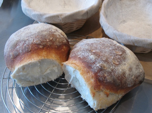 Two round loaves of white sourdough bread