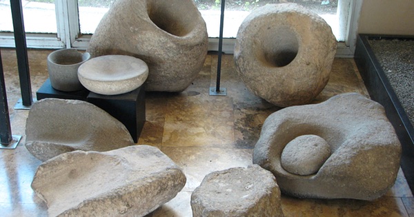 A selection of Natufian mortars, gray rocks with a depression in them, one of which has the pestle used to grind grain in it, in a museum display case in Haifa, Israel.