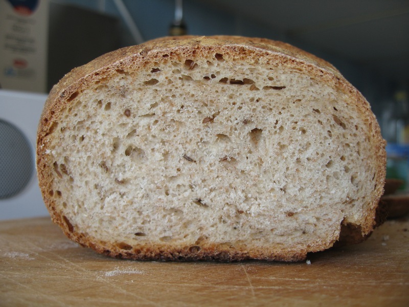 Rye bread crumb