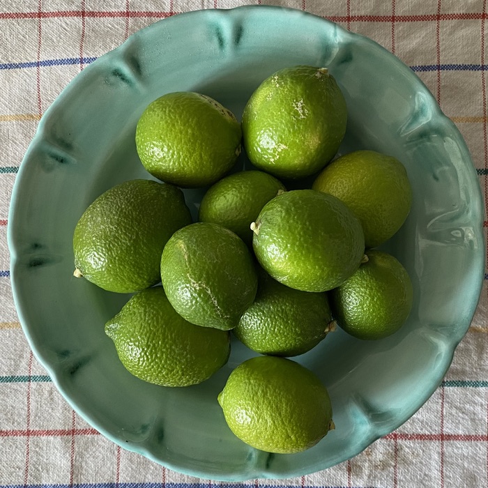 A jade green plate on which are 11 fresh green limes