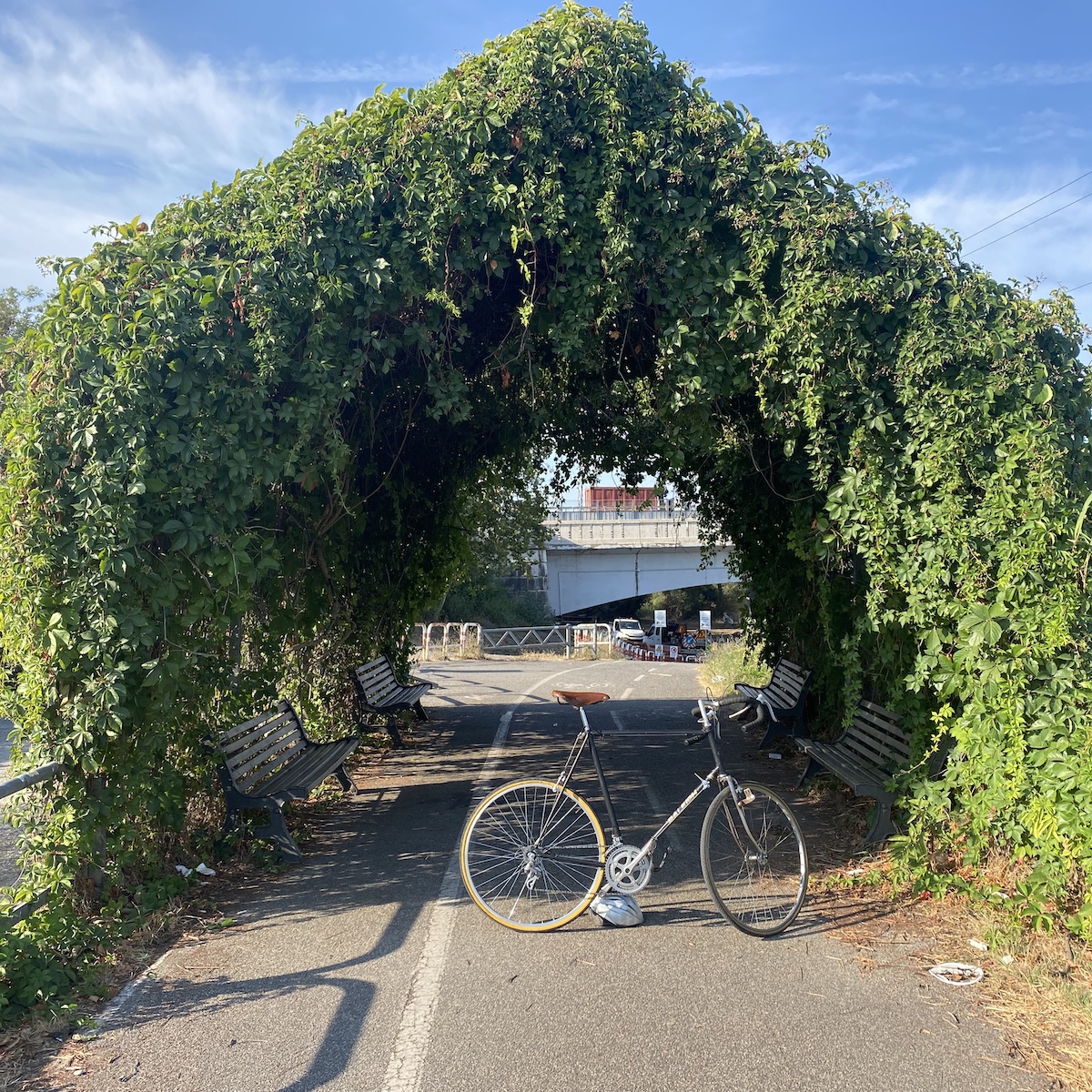 A black Raleigh bicycle in front of a resting place that is covered with green climbing vines