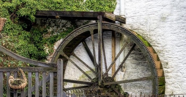 An overshot watermill wheel in Polperrow, Cornwall. The top half of the wheel with wooden buckets against the white stone walls of the mill. Above is the wooden sluice that feeds water into the buckets to turn the wheel, although no water is flowing. Some of the buckets have green plants growing in them.